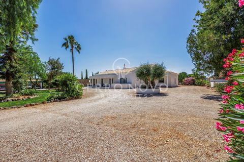 Villa i Algoz, Faro, Algoz - € 1.650.000 | Ref: CN10762 - foto 28