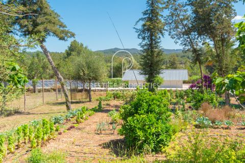 Villa i Puig Den Valls, Ibiza, Puig Den Valls - € 7.500.000 | Ref: 7600 - foto 46