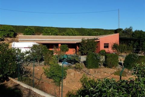 Villa i Coin, Malaga, Coin - € 1.950.000 | Ref: 102/6077 - foto 6