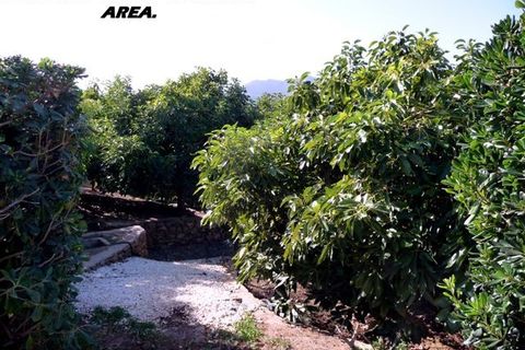 Villa i Coin, Malaga, Coin - € 1.950.000 | Ref: 102/6077 - foto 37