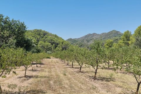 Finca i Miravet, Tarragona, Miravet - € 46.000 | Ref: RM - foto 14
