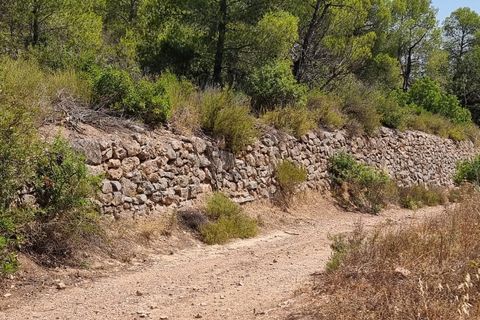 Finca i Miravet, Tarragona, Miravet - € 46.000 | Ref: RM - foto 13