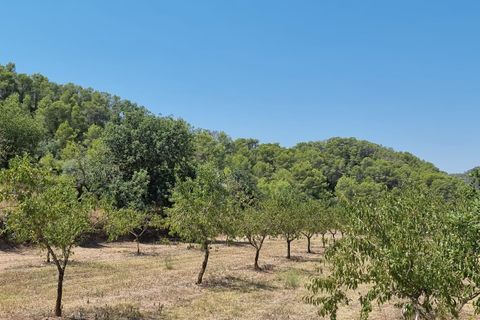 Finca i Miravet, Tarragona, Miravet - € 46.000 | Ref: RM - foto 12