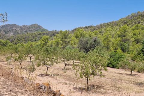 Finca i Miravet, Tarragona, Miravet - € 46.000 | Ref: RM - foto 10