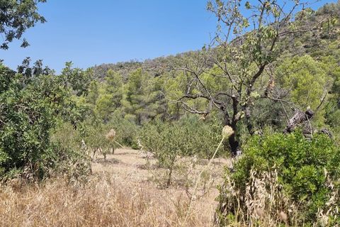 Finca i Miravet, Tarragona, Miravet - € 46.000 | Ref: RM - foto 15