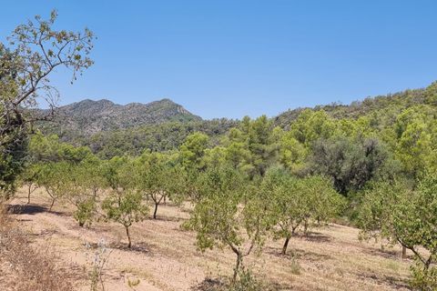 Finca i Miravet, Tarragona, Miravet - € 46.000 | Ref: RM - foto 9