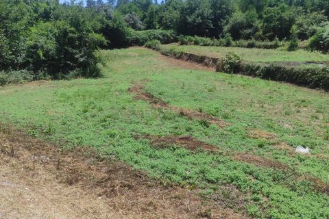 Helårsgrund i Abraveses, Viseu, Abraveses - € 120.000 | Ref: C0203-02685 - foto 10