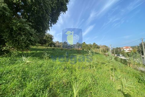Villa i Caldas da Rainha, Leiria, Caldas da Rainha - € 730.000 | Ref: CAL-217136 - foto 16