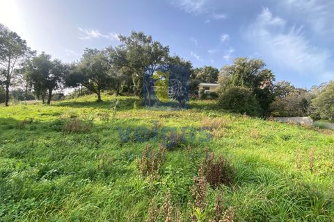 Villa i Caldas da Rainha, Leiria, Caldas da Rainha - € 730.000 | Ref: CAL-217136 - foto 19