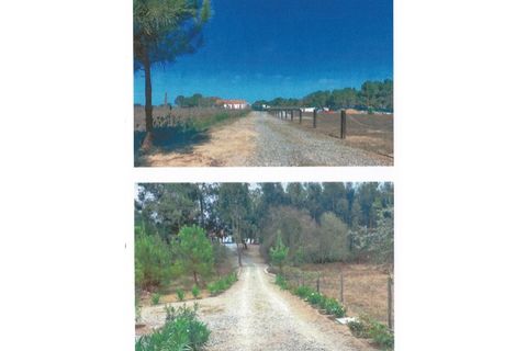 Villa i Sao Teotonio, Beja, Sao Teotonio - € 630.000 | Ref: 6383 - foto 8