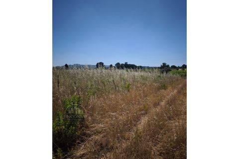 Helårsgrund i Palmela, Setubal, Palmela - € 60.000 | Ref: MC2025547 - foto 3