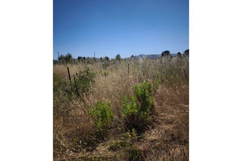 Helårsgrund i Palmela, Setubal, Palmela - € 60.000 | Ref: MC2025547 - foto 5