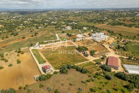 Gårdshus i Albufeira, Faro, Albufeira - € 15 000 000 | Ref: TAPT01-1560_PB - foto 6