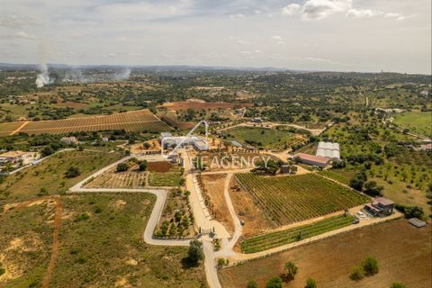 Gårdshus i Albufeira, Faro, Albufeira - € 15 000 000 | Ref: TAPT01-1560_PB - foto 7