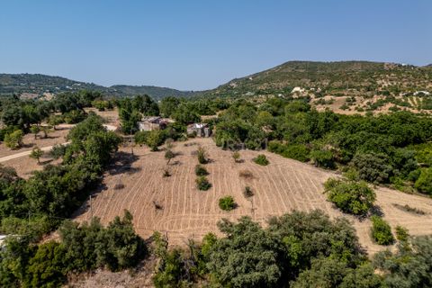 Helårsgrund i Tavira, Faro, Tavira - € 450.000 | Ref: C0358-01190 - foto 2