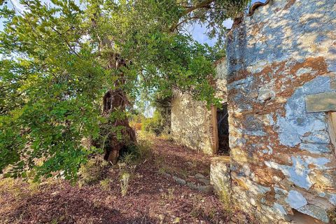 Helårsgrund i Tavira, Faro, Tavira - € 450.000 | Ref: C0358-01190 - foto 8