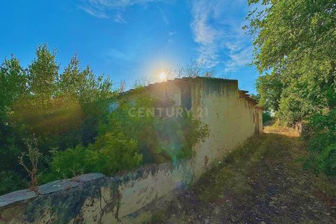 Helårsgrund i Tavira, Faro, Tavira - € 450.000 | Ref: C0358-01190 - foto 13