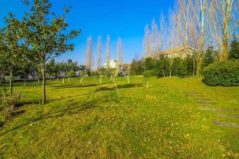 Villa i Valongo, Porto, Valongo - € 1 300 000 | Ref: CAS_214 - foto 6