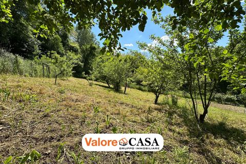 Villa en Visone, Alessandria, Visone - € 18.000 | Ref: 85944593 - photo 17