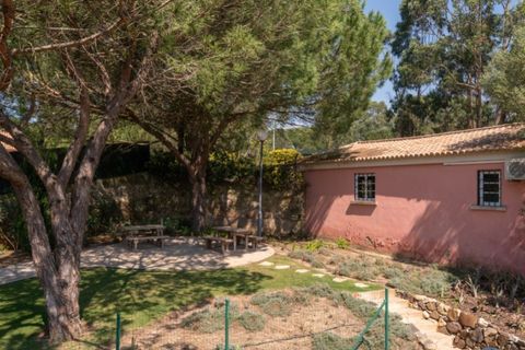 Dúplex a Alcabideche, Lisbon, Alcabideche - € 7.850/mes | Ref: DÚP_33 - foto 29