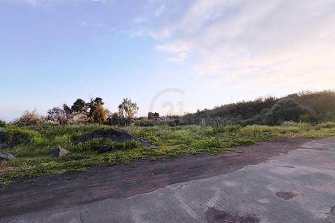 Erhvervsejendom i Mascalucia, Catania, Mascalucia - € 35.000 | Ref: 7230 - foto 2