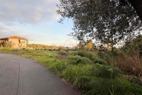 Erhvervsejendom i Mascalucia, Catania, Mascalucia - € 35.000 | Ref: 7230 - foto 3