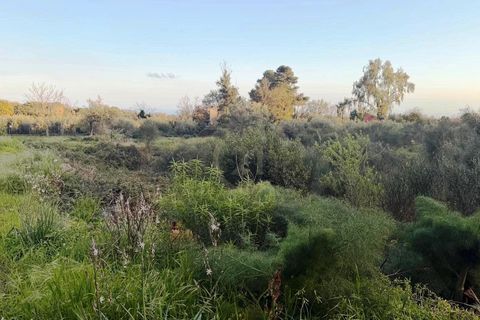 Erhvervsejendom i Mascalucia, Catania, Mascalucia - € 35.000 | Ref: 7230 - foto 5