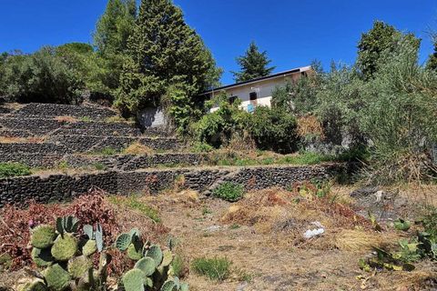 Erhvervsejendom i Mascalucia, Catania, Mascalucia - € 55.000 | Ref: 7422 - foto 4