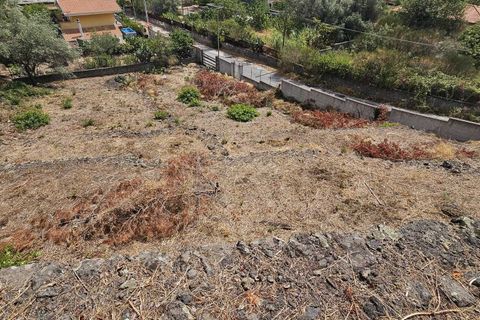 Erhvervsejendom i Mascalucia, Catania, Mascalucia - € 55.000 | Ref: 7422 - foto 5