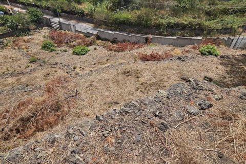 Erhvervsejendom i Mascalucia, Catania, Mascalucia - € 55.000 | Ref: 7422 - foto 9