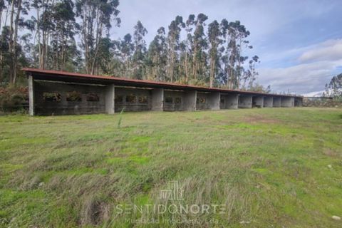 Helårsgrund i Lamoso, Porto, Lamoso - € 220.000 | Ref: SÒL_182 - foto 6