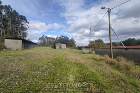 Helårsgrund i Lamoso, Porto, Lamoso - € 220.000 | Ref: SÒL_182 - foto 7