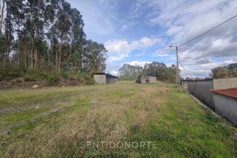 Helårsgrund i Lamoso, Porto, Lamoso - € 220.000 | Ref: SÒL_182 - foto 8