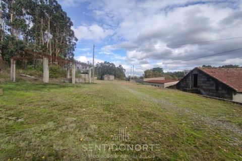 Helårsgrund i Lamoso, Porto, Lamoso - € 220.000 | Ref: SÒL_182 - foto 9