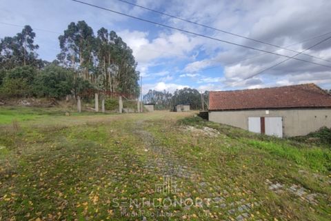 Helårsgrund i Lamoso, Porto, Lamoso - € 220.000 | Ref: SÒL_182 - foto 10