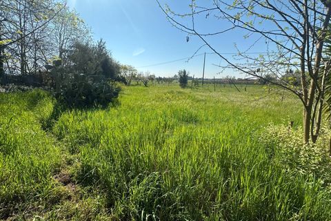 Helårsgrund i Capua, Caserta, Capua - € 89.000 | Ref: 89TERRENO - foto 1