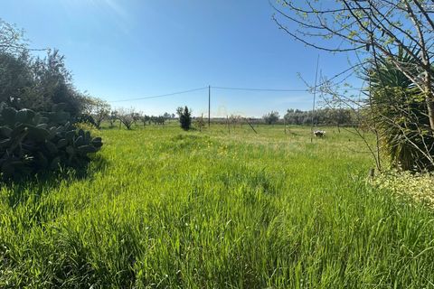 Helårsgrund i Capua, Caserta, Capua - € 89.000 | Ref: 89TERRENO - foto 2