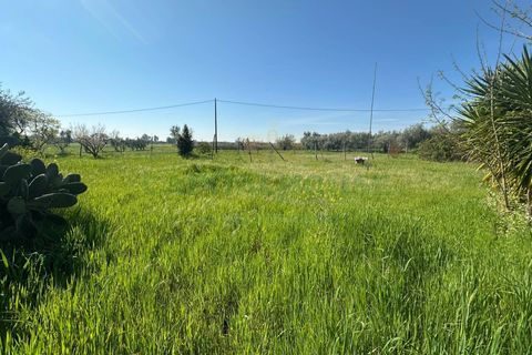 Helårsgrund i Capua, Caserta, Capua - € 89.000 | Ref: 89TERRENO - foto 3