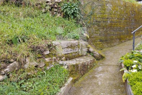 Farm i Roriz, Porto, Roriz - € 469.000 | Ref: M_025/23 - foto 26