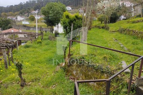 Farm i Roriz, Porto, Roriz - € 469.000 | Ref: M_025/23 - foto 30