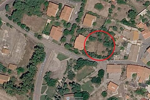 Terra a Bauladu, Oristano, Bauladu - € 50.000 | Ref: MAR205 - foto 2
