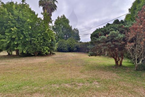 Byhus i Viana do Castelo, Viana do Castelo, Viana do Castelo - € 542.500 | Ref: 013-4384 - foto 26