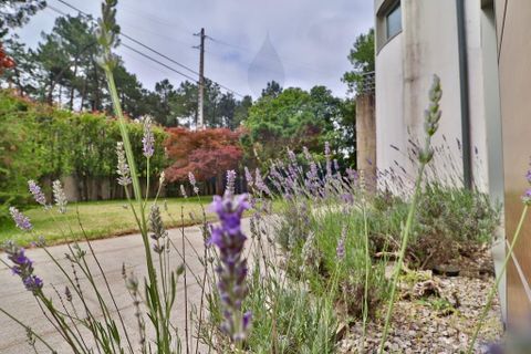 Byhus i Viana do Castelo, Viana do Castelo, Viana do Castelo - € 542.500 | Ref: 013-4384 - foto 28
