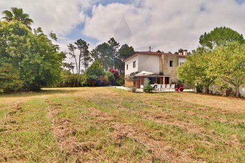 Byhus i Viana do Castelo, Viana do Castelo, Viana do Castelo - € 542.500 | Ref: 013-4384 - foto 35