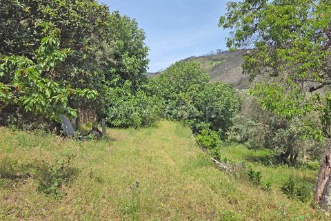 Villa a Trancoso, Guarda, Trancoso - € 230.000 | Ref: 046260212 - foto 11
