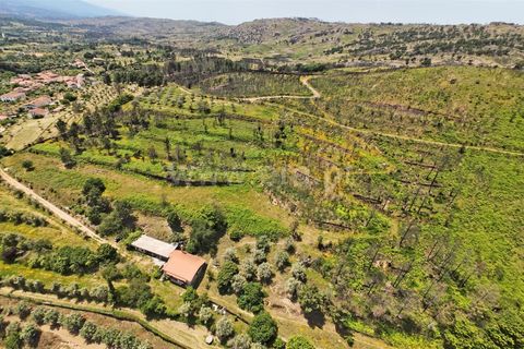 Villa a Trancoso, Guarda, Trancoso - € 230.000 | Ref: 046260212 - foto 17