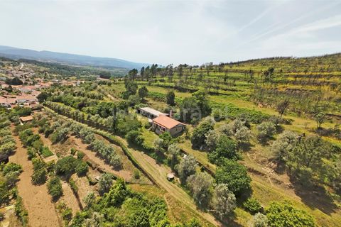 Villa a Trancoso, Guarda, Trancoso - € 230.000 | Ref: 046260212 - foto 18