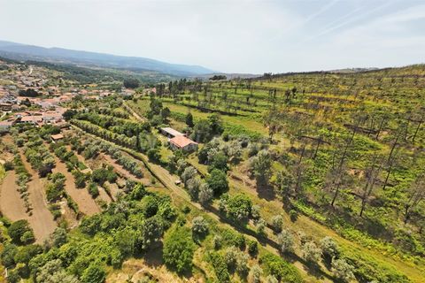 Villa a Trancoso, Guarda, Trancoso - € 230.000 | Ref: 046260212 - foto 19
