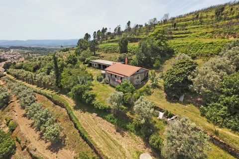 Villa a Trancoso, Guarda, Trancoso - € 230.000 | Ref: 046260212 - foto 20
