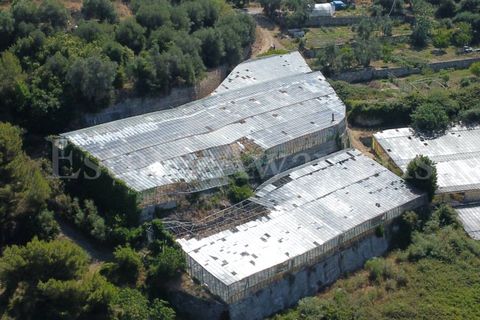 Terra em Seborga, Imperia, Seborga - € 440.000 | Ref: iv1342 - foto 2